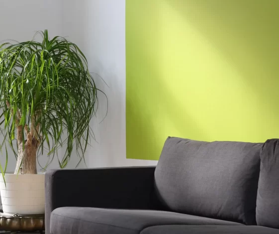 Dariel Pertwee Counselling & Pyschotherapy