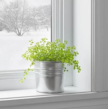 Dariel Pertwee Counselling & Pyschotherapy